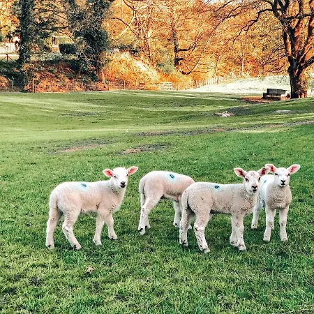 Walkers Boathouse - Luxury Lakeside Retreat Casa de Férias Bowness-on-Windermere