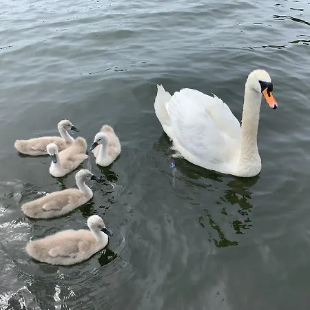 Walkers Boathouse - Luxury Lakeside Retreat Casa de Férias Bowness-on-Windermere