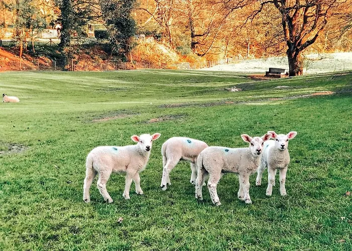 Walkers Boathouse - Luxury Lakeside Retreat Casa de Férias Bowness-on-Windermere