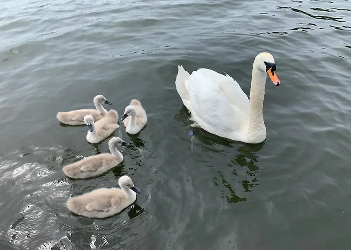 Walkers Boathouse - Luxury Lakeside Retreat Casa de Férias Bowness-on-Windermere